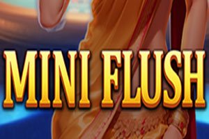 MiniFlush