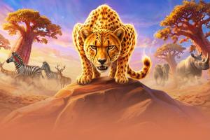 Cheetah Wild