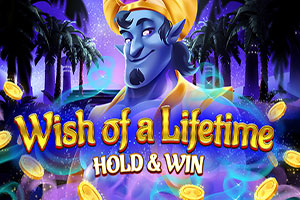 Wish of a Lifetime Hold & Win